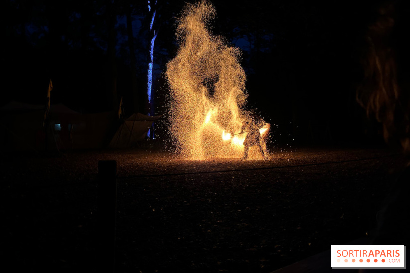 Les Esprits de la Forêt - IMG 5634