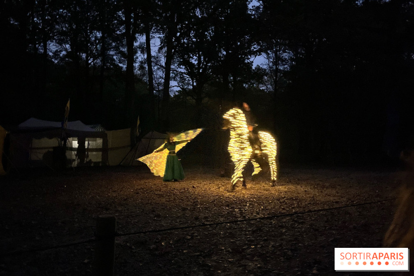 Les Esprits de la Forêt - IMG 5641