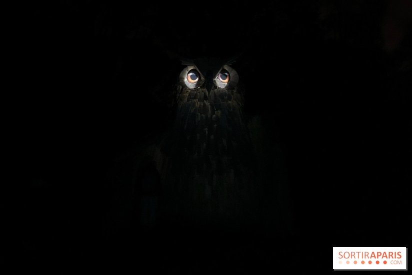 Les Esprits de la Forêt - IMG 5668