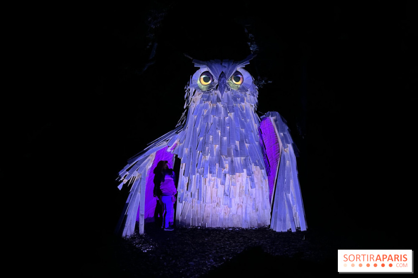 Les Esprits de la Forêt - IMG 5671