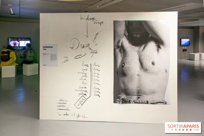 Trans*galactique : l'exposition célébrant les identités trans à la Gaité Lyrique - DSC 1804