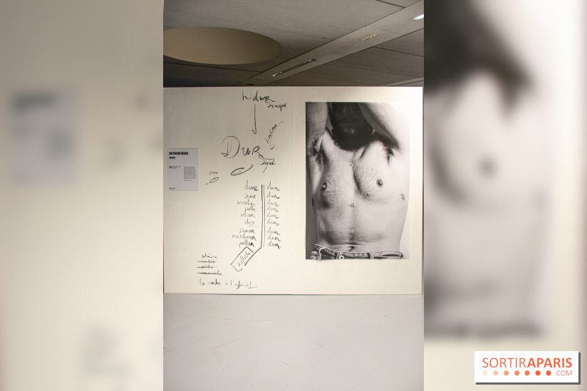 Trans*galactique : l'exposition célébrant les identités trans à la Gaité Lyrique - DSC 1805