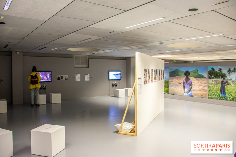 Trans*galactique : l'exposition célébrant les identités trans à la Gaité Lyrique - DSC 1814
