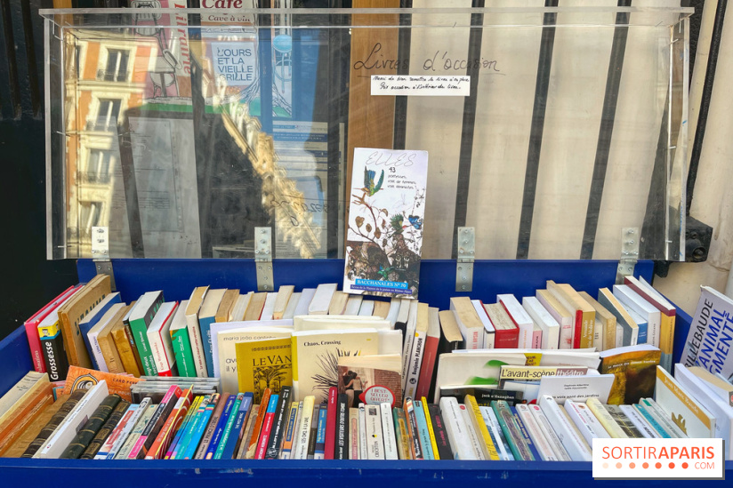 L'Ours et la Vieille Grille - IMG 5805