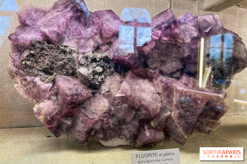 Musée de Minéralogie - IMG 5818