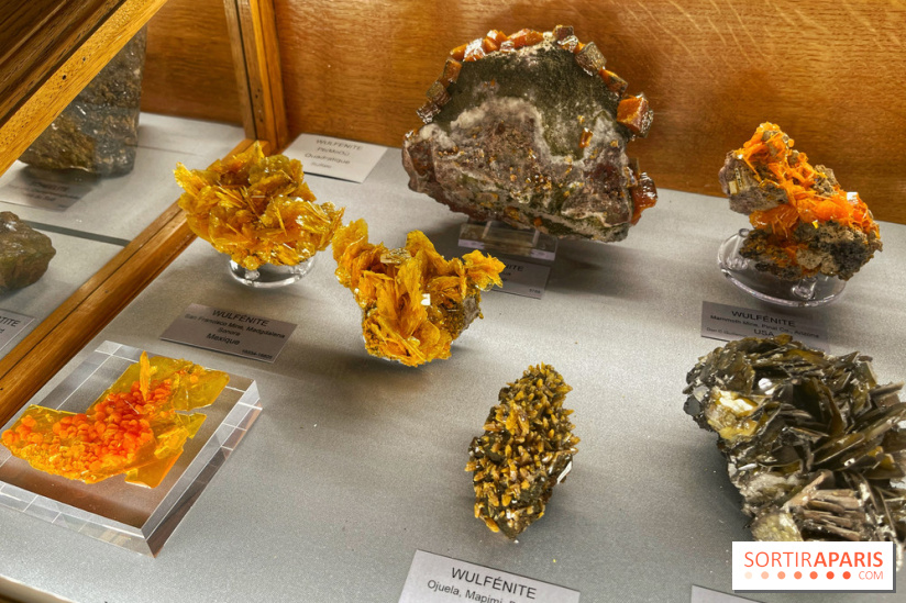 Musée de Minéralogie - IMG 5867