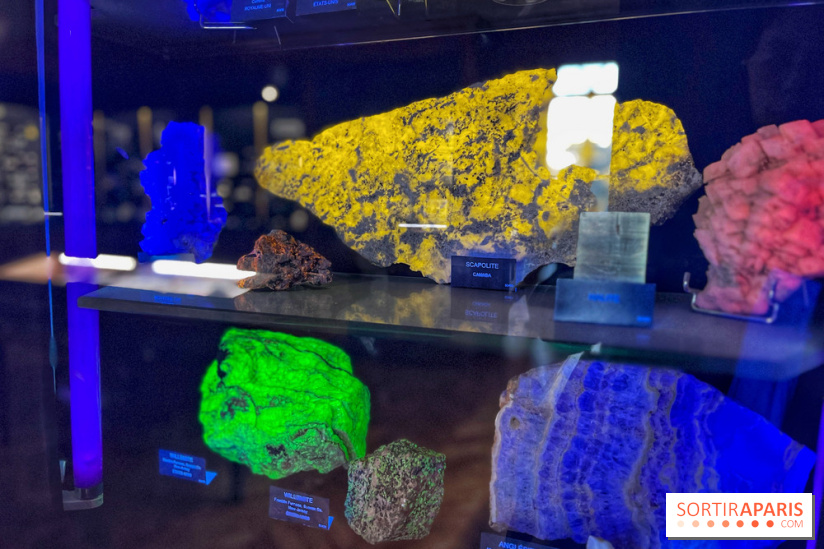 Musée de Minéralogie - IMG 5883