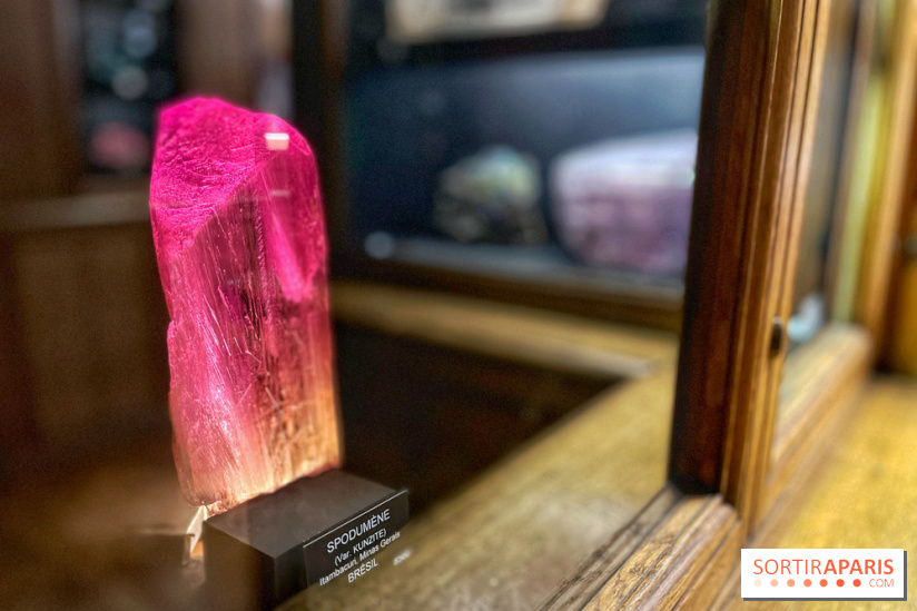 Musée de Minéralogie - IMG 5885