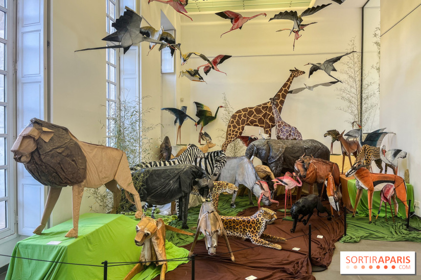 La faune en plis - nos photos - image00028