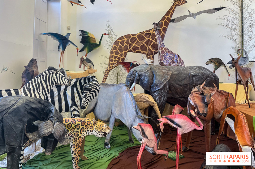 La faune en plis - nos photos - image00025