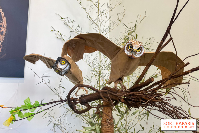 La faune en plis - nos photos - image00022