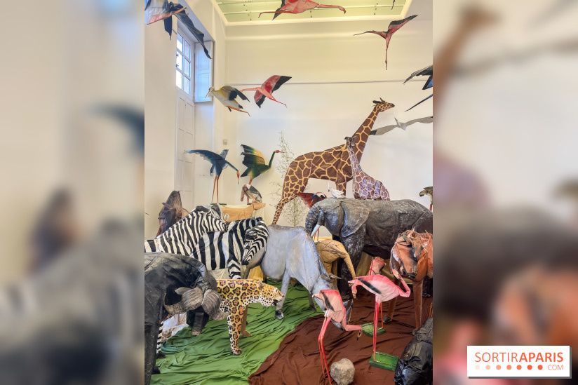 La faune en plis - nos photos - image00024