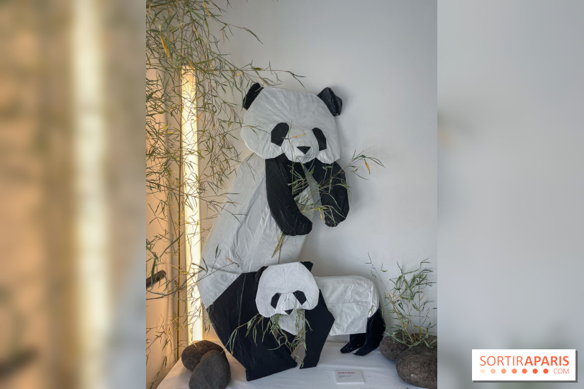 La faune en plis - nos photos - image00020