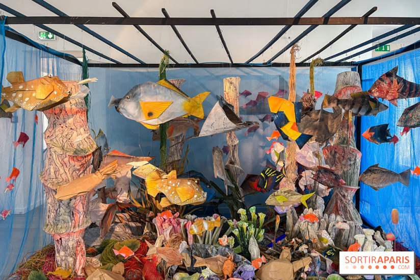 La faune en plis - nos photos - image00014