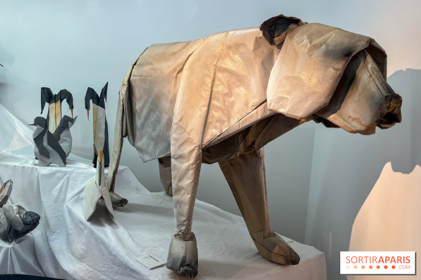 La faune en plis - nos photos - image00016