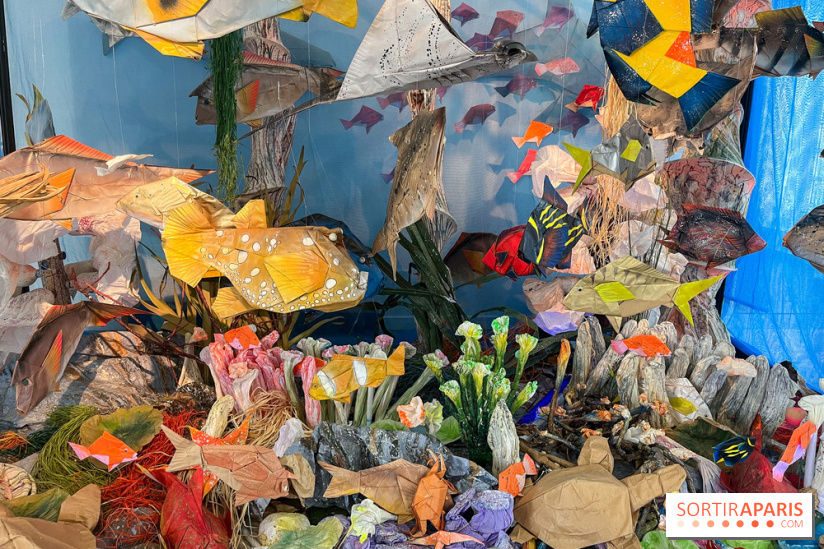 La faune en plis - nos photos - image00013