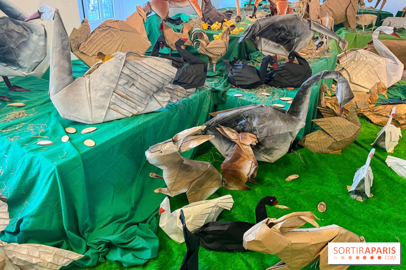 La faune en plis - nos photos - image00009