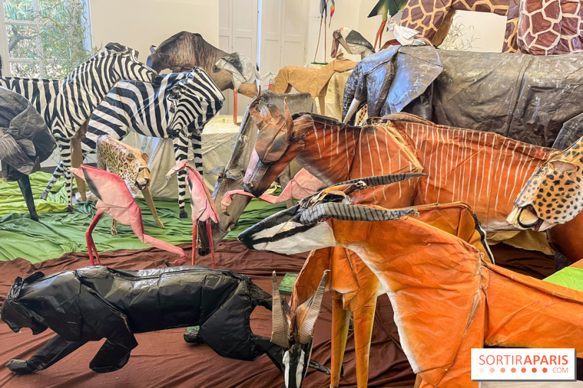 La faune en plis - nos photos - image00002