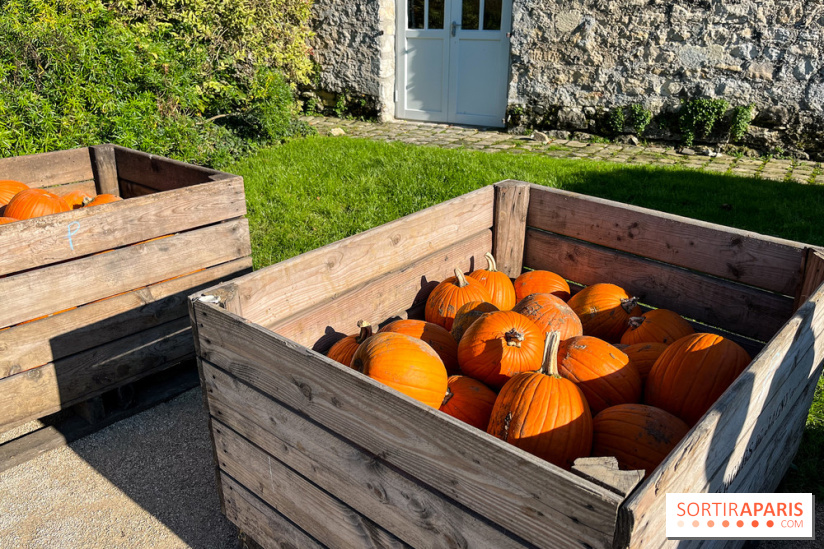 La Fête de la Citrouille - nos photos