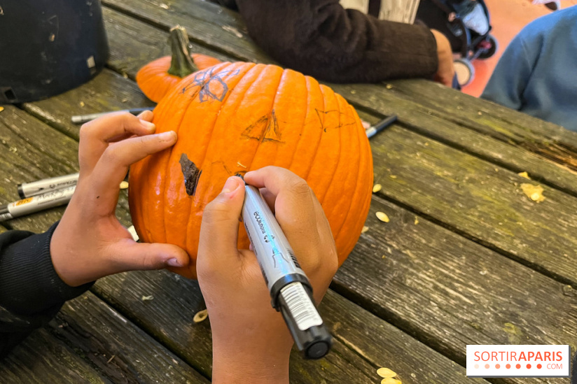 La Fête de la Citrouille - nos photos - image00028