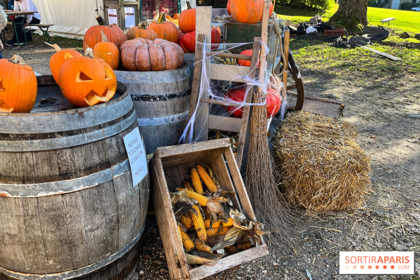 La Fête de la Citrouille - nos photos