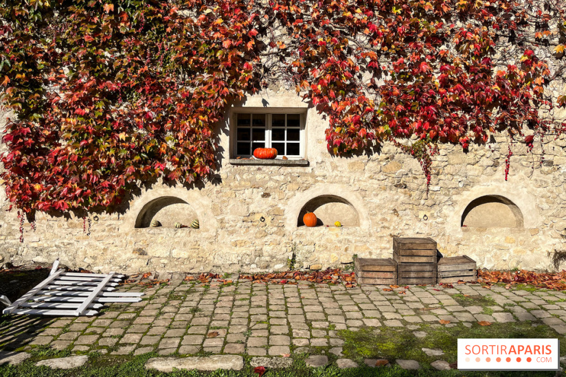 La Fête de la Citrouille - nos photos - image00022