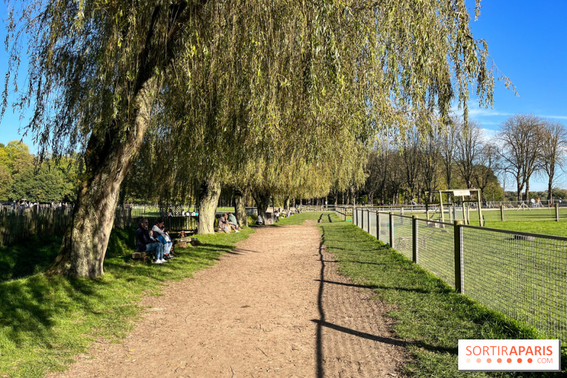 La Fête de la Citrouille - nos photos - image00014