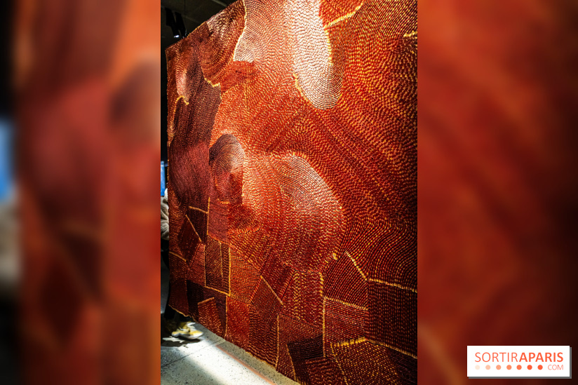 Exposition Olga de Amaral à la Fondation Cartier - les photos  -  A7C5435