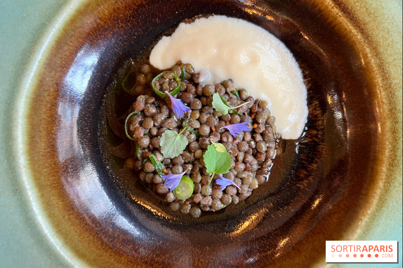 Maison Brut Paris - Lentilles vertes, oignon doux