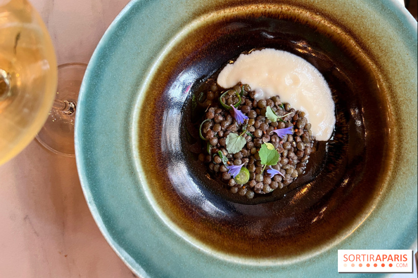 Maison Brut Paris - Lentilles vertes, oignon doux