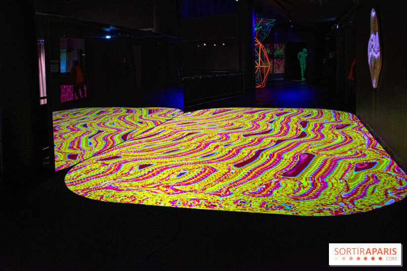 Pixels au Grand Palais Immersif : nos photos de l'exposition qui mêle art numérique et IA - DSC 2011