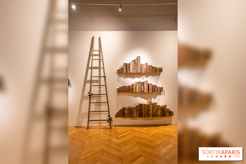 Exposition Les Cimes de l’Asphalte de Duy Anh Nhan Duc à l’Espace Richaud - DSC 2048