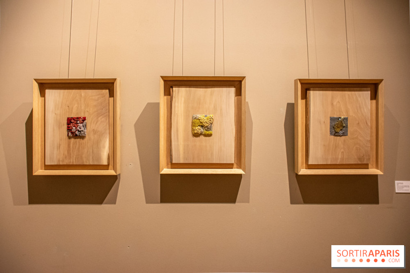 Exposition Les Cimes de l’Asphalte de Duy Anh Nhan Duc à l’Espace Richaud - DSC 2053