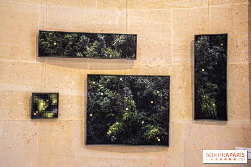 Exposition Les Cimes de l’Asphalte de Duy Anh Nhan Duc à l’Espace Richaud - DSC 2075