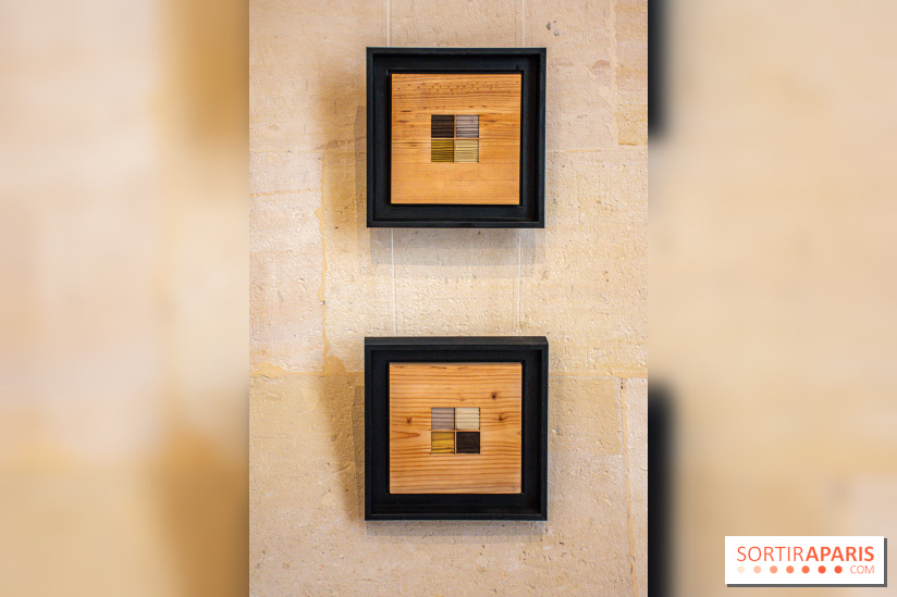 Exposition Les Cimes de l’Asphalte de Duy Anh Nhan Duc à l’Espace Richaud - DSC 2076