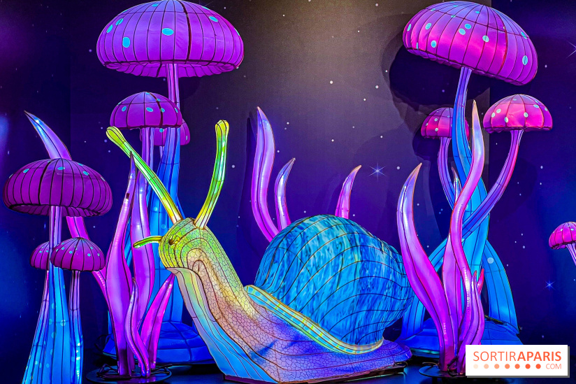 Les vitrines de Noël 2024 de la Samaritaine : Thoiry Lumières Sauvages envahit le grand magasin - Les vitrines de Noël 2024 de la Samaritaine : Thoiry Lumières Sauvages envahit le grand magasin   image00023   1125738