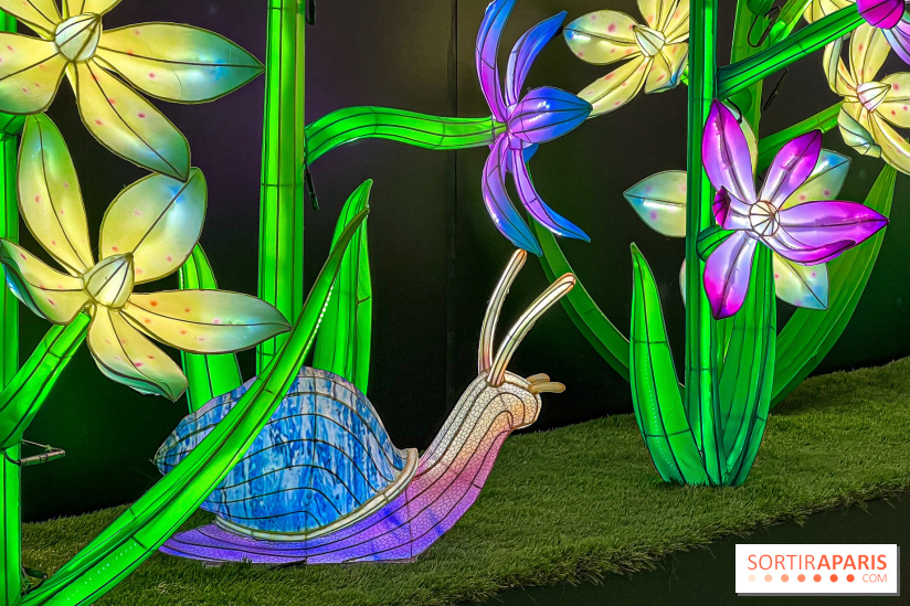 Les vitrines de Noël 2024 de la Samaritaine : Thoiry Lumières Sauvages envahit le grand magasin - Les vitrines de Noël 2024 de la Samaritaine : Thoiry Lumières Sauvages envahit le grand magasin   image00027   1125745