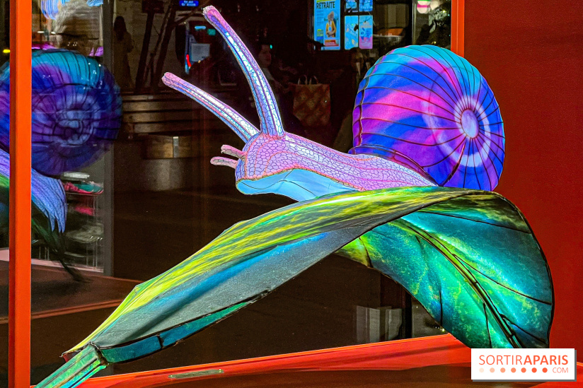 Les vitrines de Noël 2024 de la Samaritaine : Thoiry Lumières Sauvages envahit le grand magasin - Les vitrines de Noël 2024 de la Samaritaine : Thoiry Lumières Sauvages envahit le grand magasin   image00039   1125769