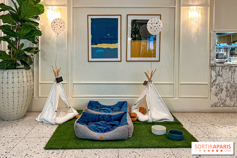 Le Doggy Brunch : le brunch gourmand entre chiens et maîtres à l'hôtel Kimpton Saint Honoré Paris