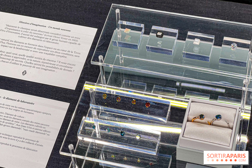 L'exposition gratuite des bijoux de la Maison de Haute-Joaillerie Vever rue de la Paix, à Paris  - image00027