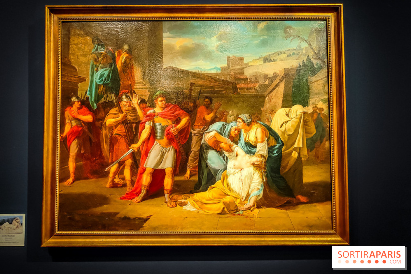 Guillon Lethière, né à la Guadeloupe : l'exposition rétrospective du musée du Louvre se dévoile - IMG20241112152217