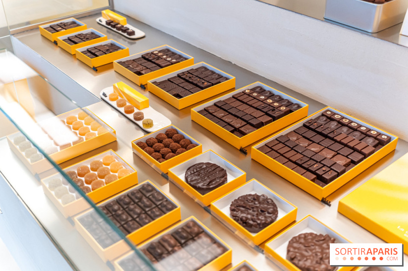 La chocolaterie William Artigue et ses chocolats de Noël 2024