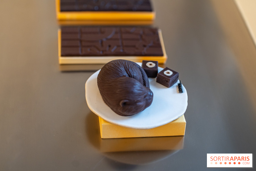La chocolaterie William Artigue et ses chocolats de Noël 2024