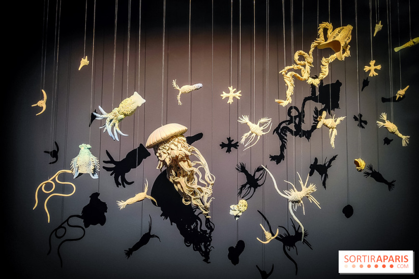 La Grande expédition : l'exposition entre art et science au Centquatre-Paris - nos photos - IMG20241115095924