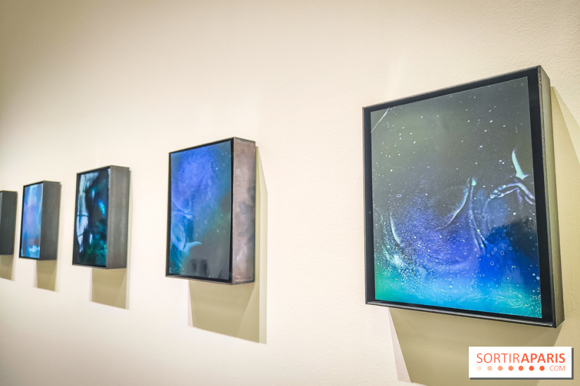 La Grande expédition : l'exposition entre art et science au Centquatre-Paris - nos photos - IMG20241115095446