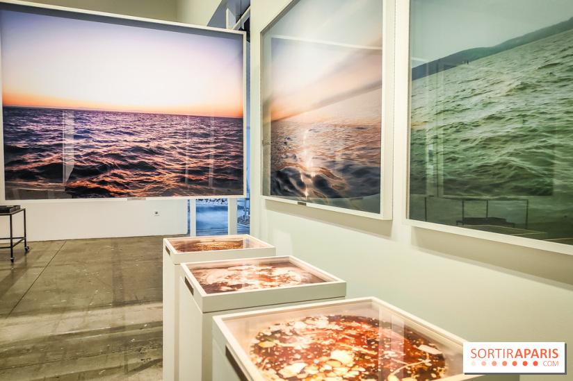 La Grande expédition : l'exposition entre art et science au Centquatre-Paris - nos photos - IMG20241115095134