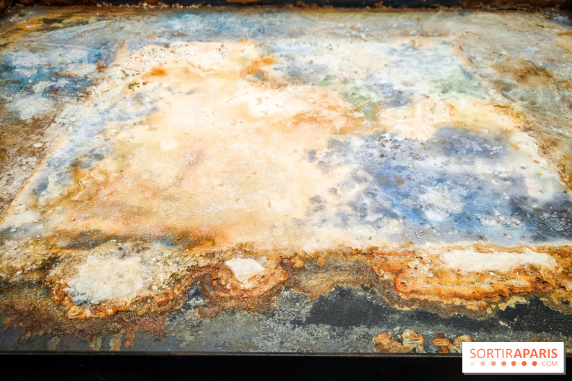 La Grande expédition : l'exposition entre art et science au Centquatre-Paris - nos photos - IMG20241115095053