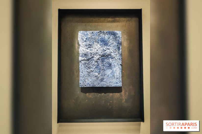 La Grande expédition : l'exposition entre art et science au Centquatre-Paris - nos photos - IMG20241115095439