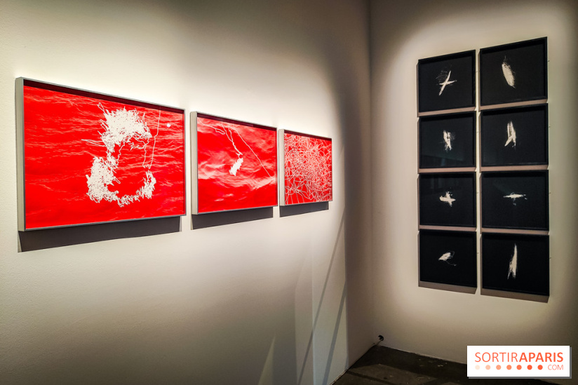 La Grande expédition : l'exposition entre art et science au Centquatre-Paris - nos photos - IMG20241115095239