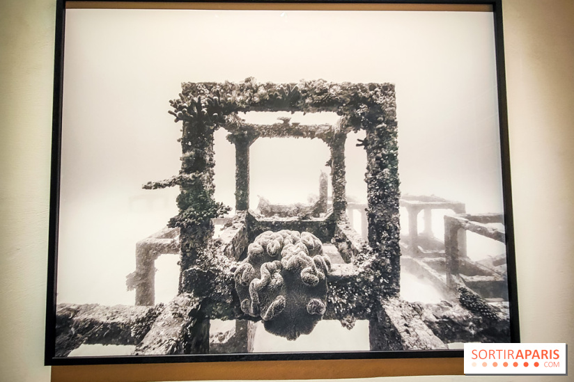La Grande expédition : l'exposition entre art et science au Centquatre-Paris - nos photos